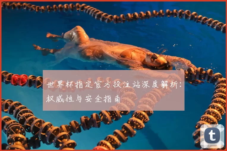 世界杯指定官方投注站深度解析:权威性与安全指南
