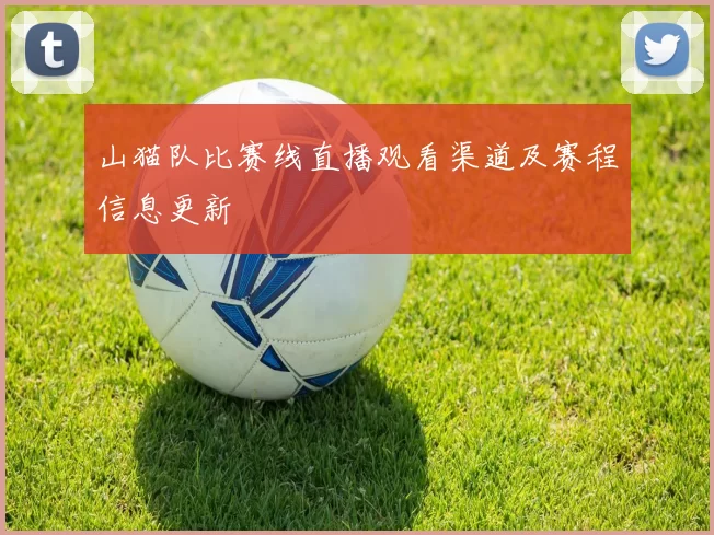 山猫队比赛线直播观看渠道及赛程信息更新