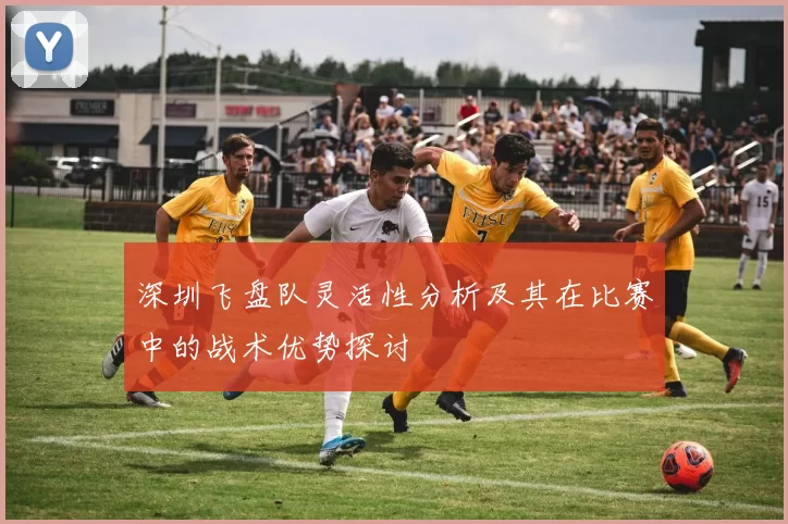 深圳飞盘队灵活性分析及其在比赛中的战术优势探讨