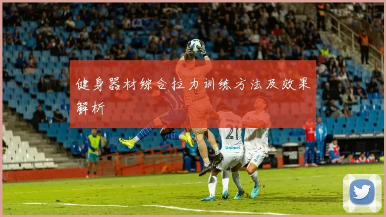 健身器材综合拉力训练方法及效果解析