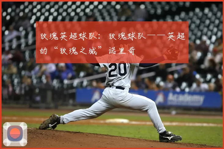 玫瑰英超球队：玫瑰球队——英超的“玫瑰之城”诺里奇