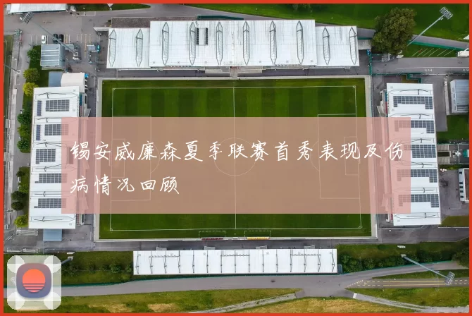 锡安威廉森夏季联赛首秀表现及伤病情况回顾