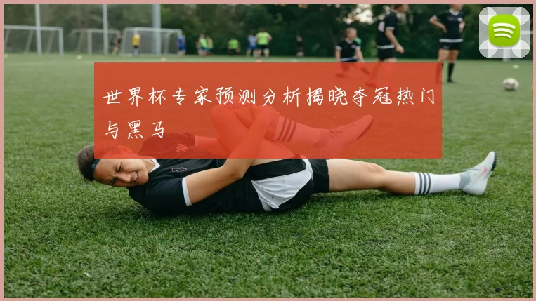 世界杯专家预测分析揭晓夺冠热门与黑马