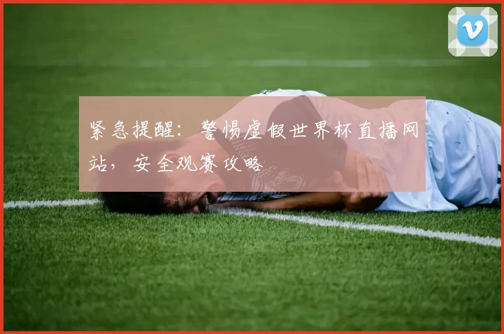 紧急提醒:警惕虚假世界杯直播网站,安全观赛攻略