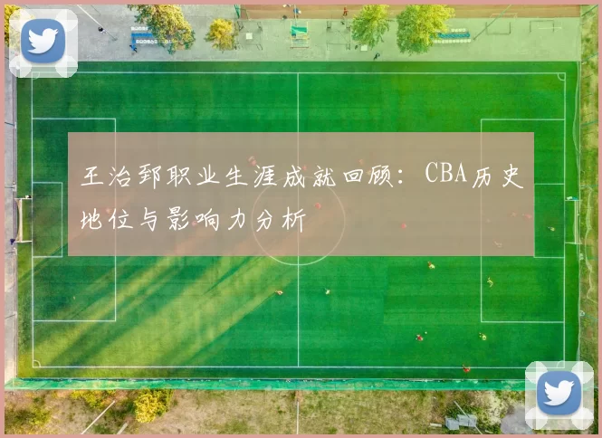 王治郅职业生涯成就回顾:CBA历史地位与影响力分析