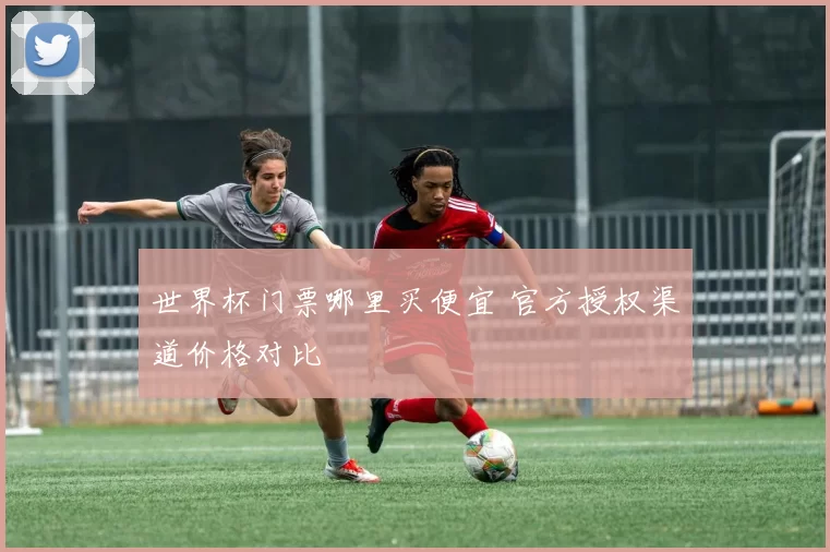 世界杯门票哪里买便宜 官方授权渠道价格对比