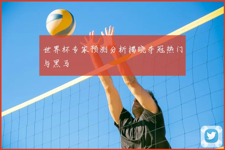 世界杯专家预测分析揭晓夺冠热门与黑马
