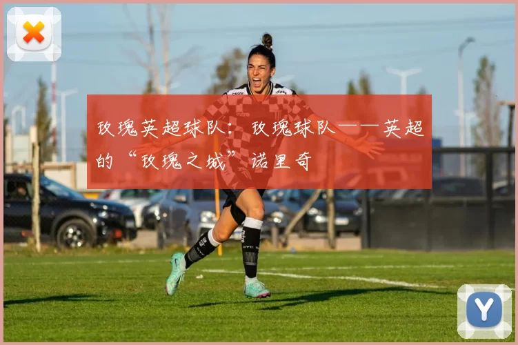 玫瑰英超球队:玫瑰球队——英超的“玫瑰之城”诺里奇