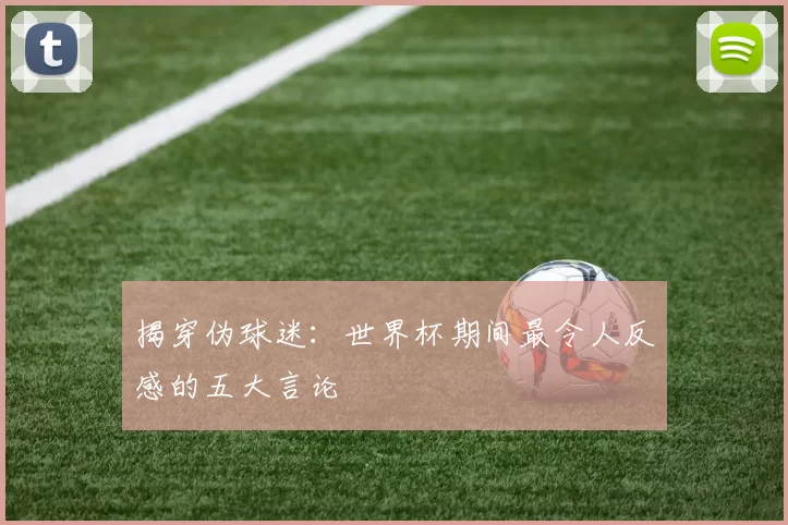 揭穿伪球迷:世界杯期间最令人反感的五大言论