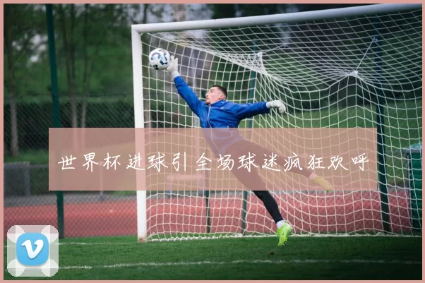 世界杯进球引全场球迷疯狂欢呼