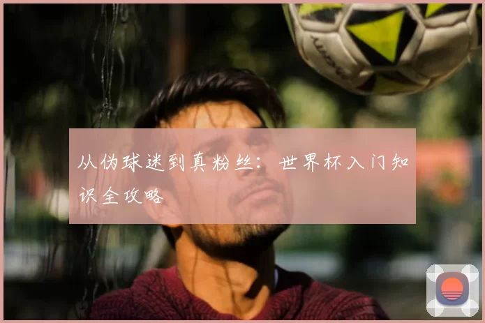 从伪球迷到真粉丝:世界杯入门知识全攻略