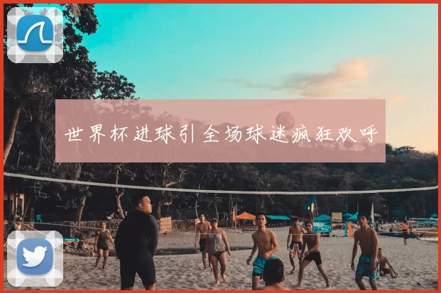 世界杯进球引全场球迷疯狂欢呼
