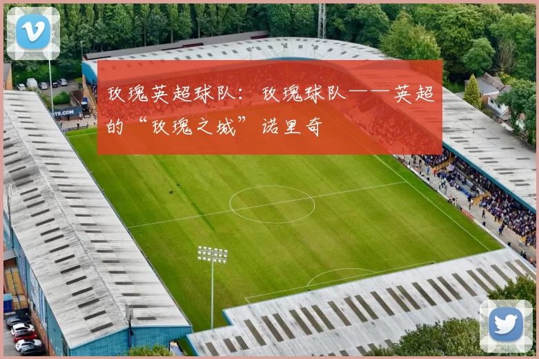 玫瑰英超球队:玫瑰球队——英超的“玫瑰之城”诺里奇