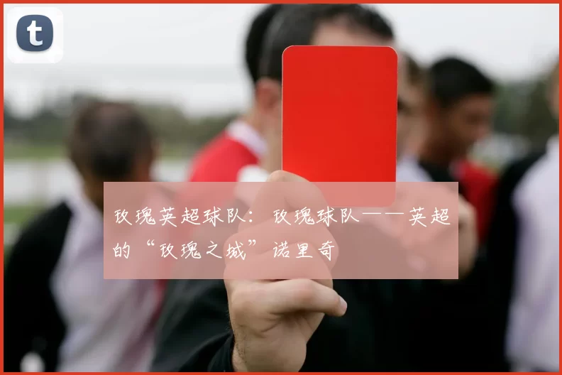 玫瑰英超球队：玫瑰球队——英超的“玫瑰之城”诺里奇