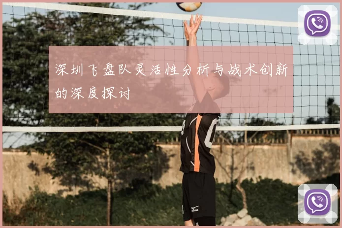 深圳飞盘队灵活性分析与战术创新的深度探讨