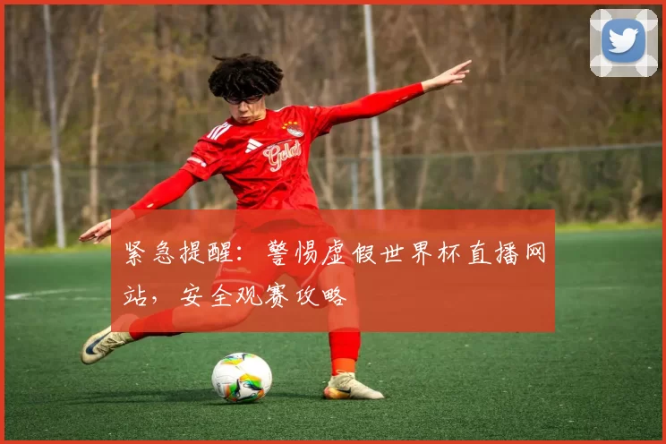 紧急提醒:警惕虚假世界杯直播网站,安全观赛攻略