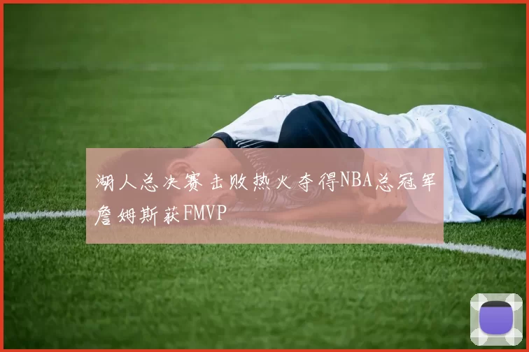 湖人总决赛击败热火夺得NBA总冠军詹姆斯获FMVP