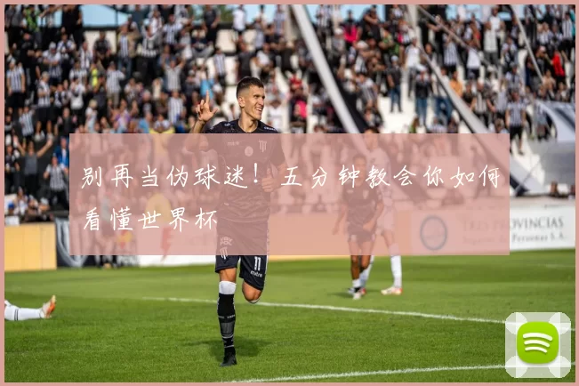 别再当伪球迷!五分钟教会你如何看懂世界杯