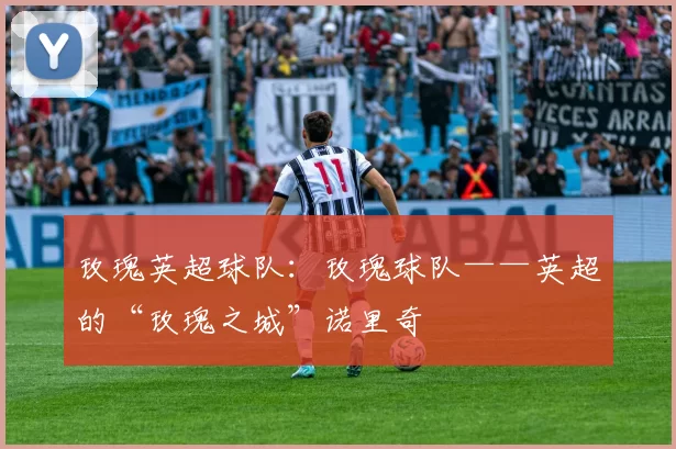 玫瑰英超球队:玫瑰球队——英超的“玫瑰之城”诺里奇