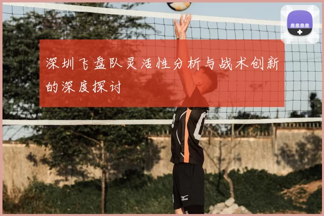 深圳飞盘队灵活性分析与战术创新的深度探讨