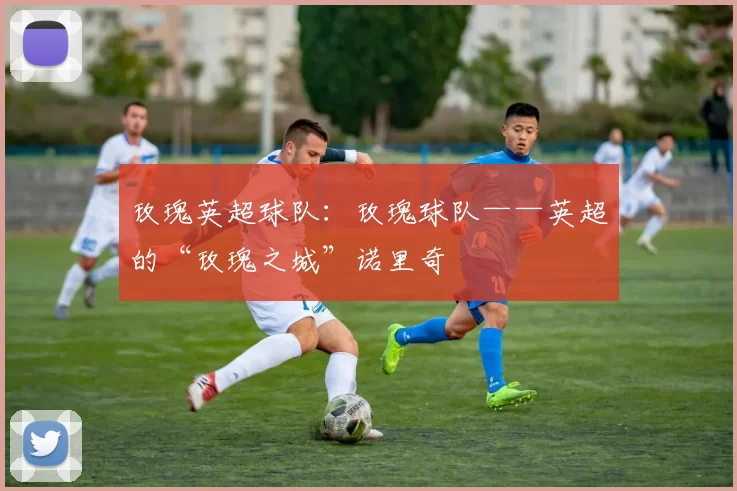 玫瑰英超球队:玫瑰球队——英超的“玫瑰之城”诺里奇